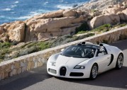 Bugatti Veyron Pur Sang